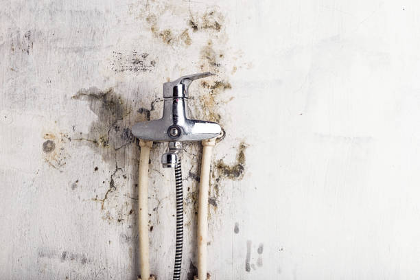 Best Water Damage Restoration  in Arroyo Seco, NM